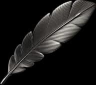 Plume