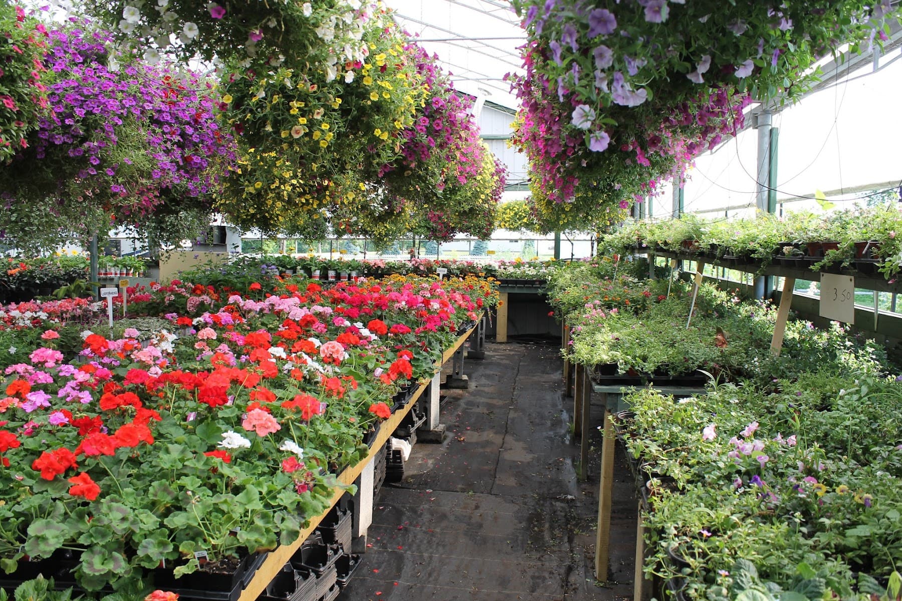 Beautiful Gardens Greenhouses — Mirabel