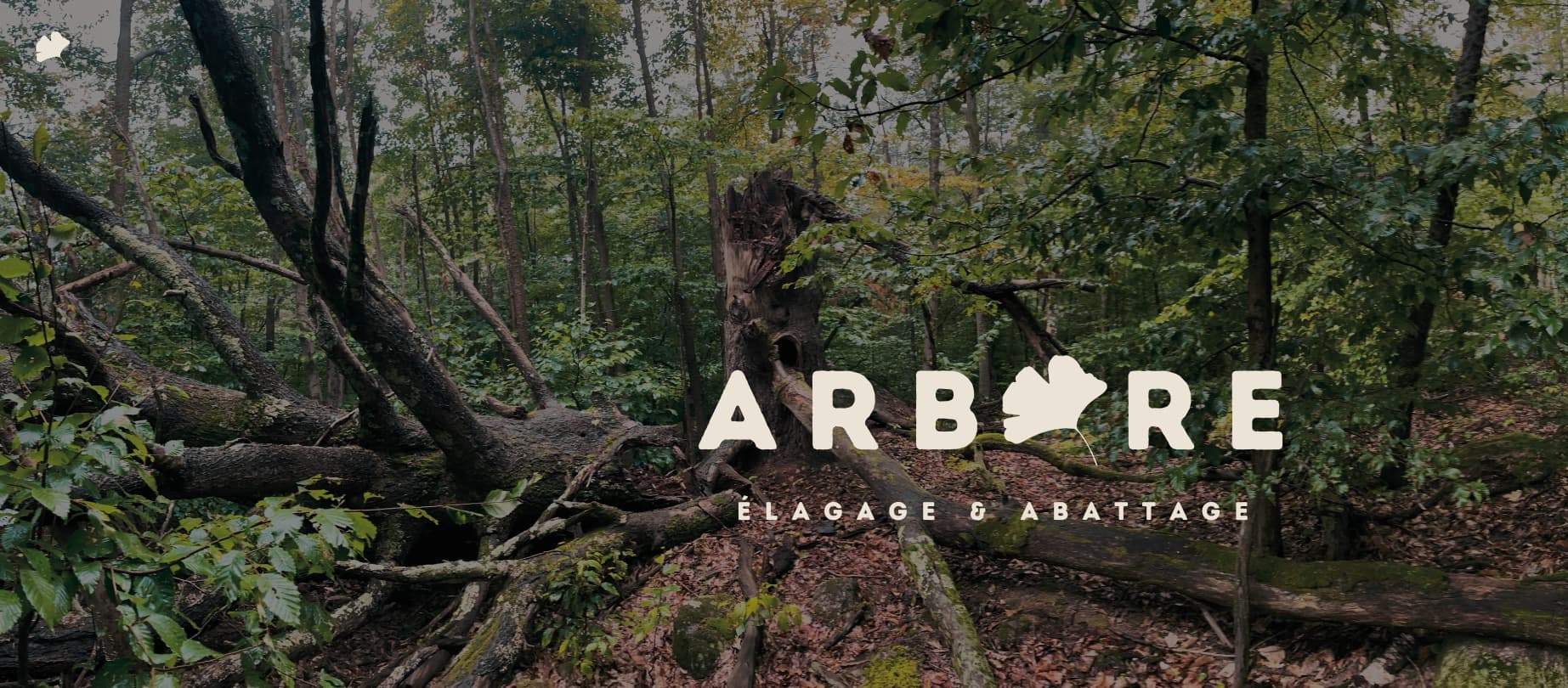 Arbore Fsr inc.: Élagage et abattage Laurentides — Mirabel