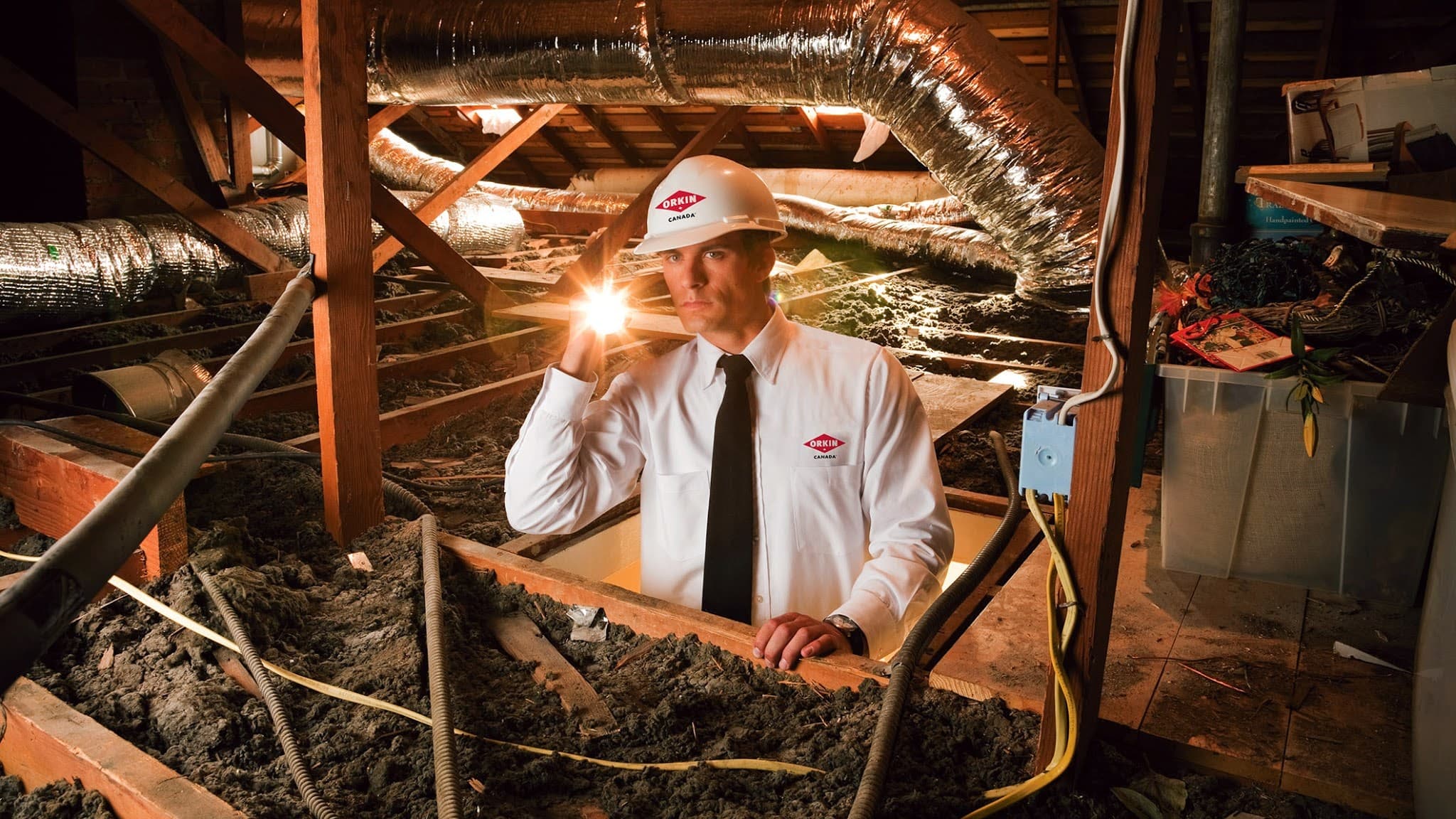 Orkin Canada Gestion Parasitaire — Blainville