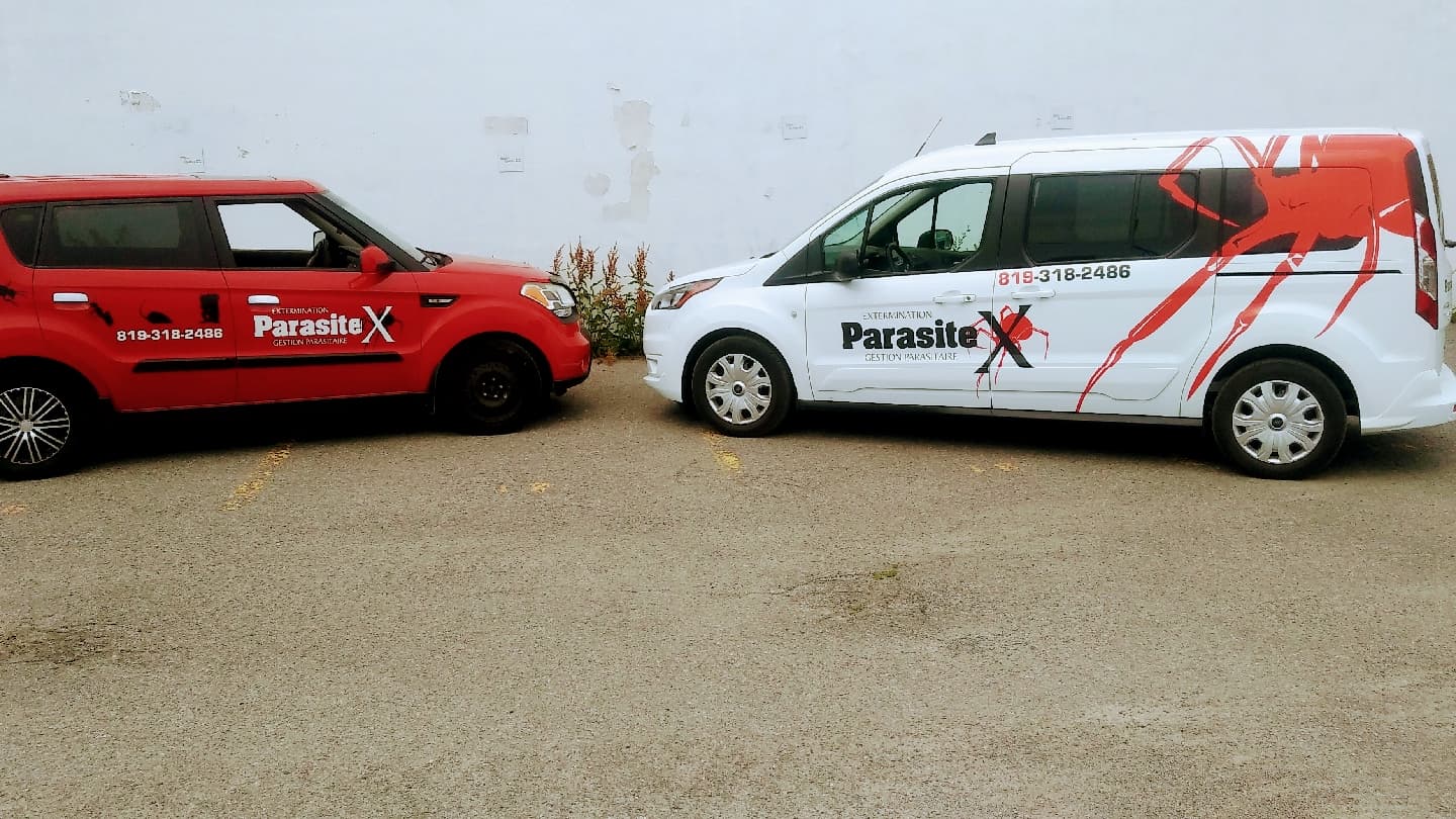 Extermination Parasitex - Exterminateur Gatineau, Gestion Parasitaire et Contrôle Animalier — Gatineau
