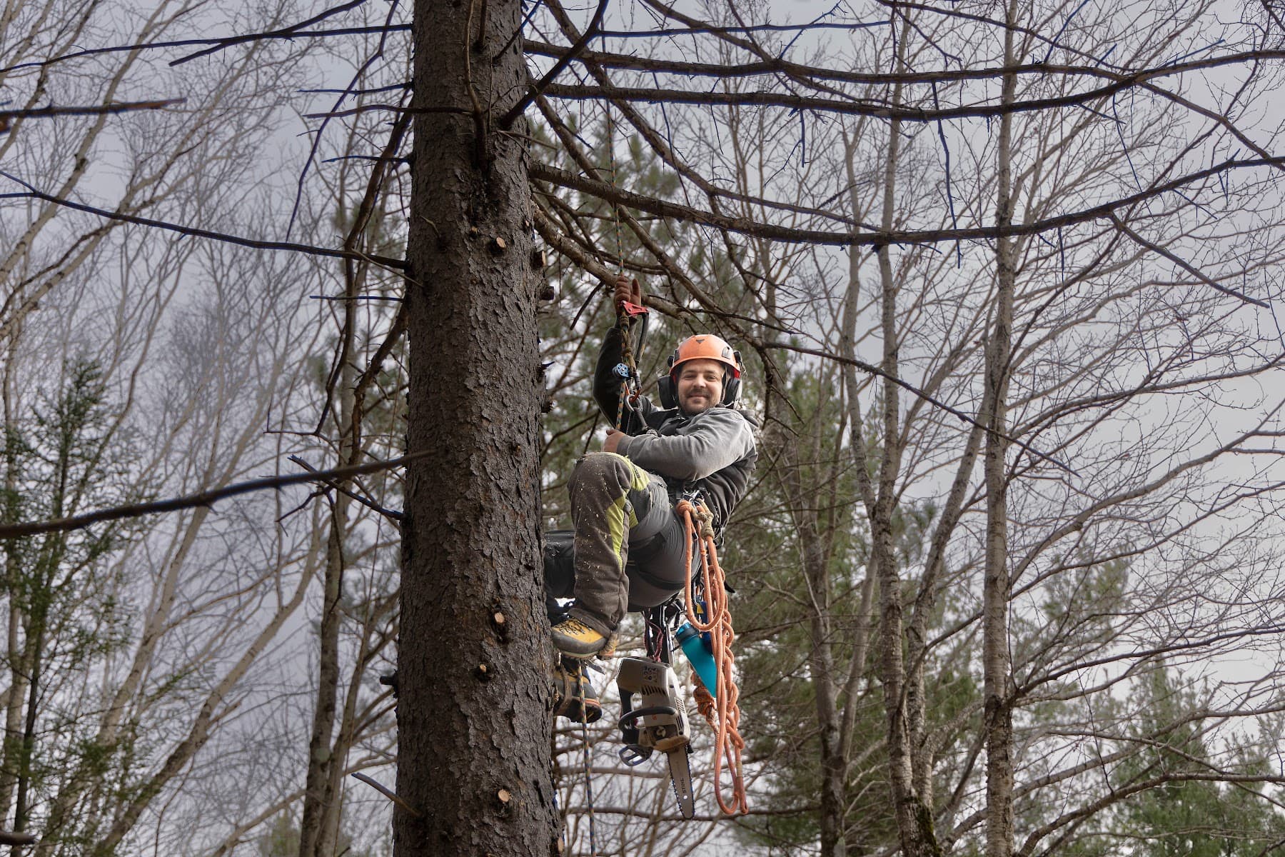 Au Coeur de l'Arbre, S.E.N.C. — Estrie