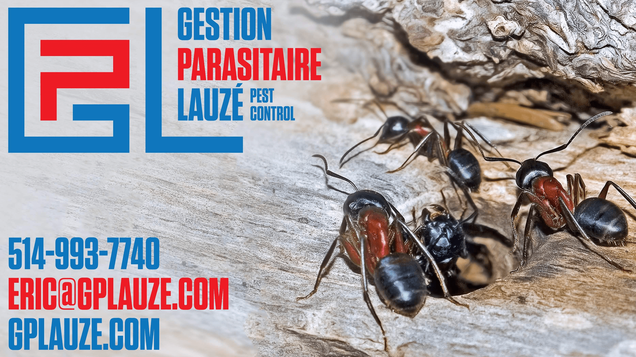 Gestion Parasitaire Lauzé — exterminateur à Mirabel