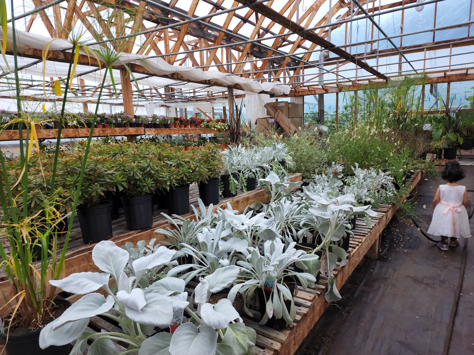 Les Serres St-Do (Jardin Du Côteau) — Saguenay