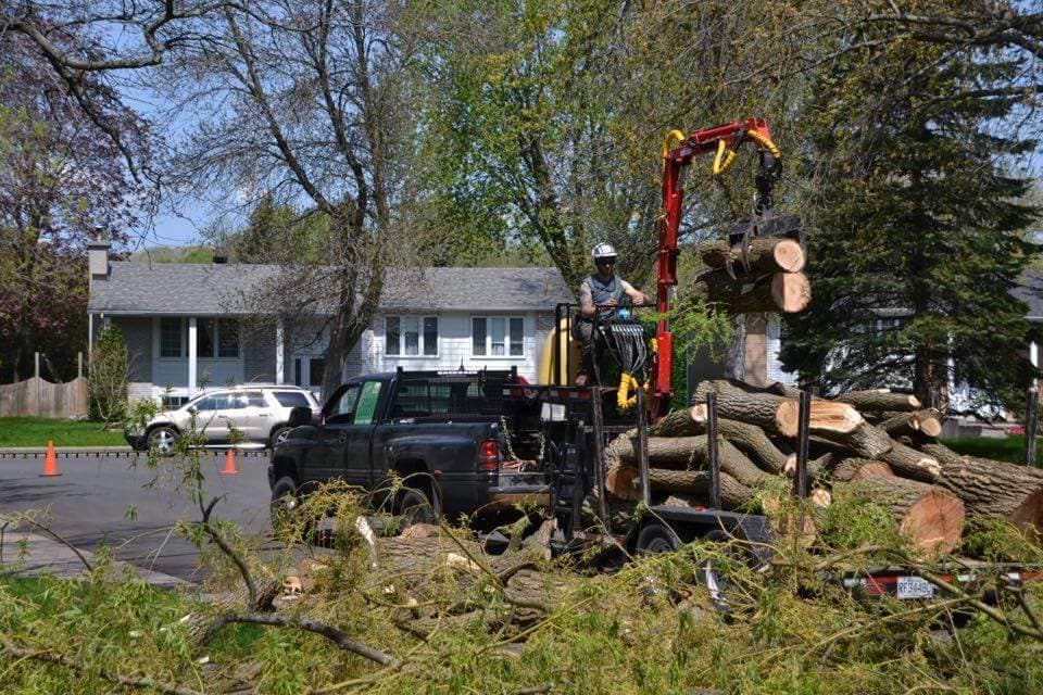 Entreprise E Campeau inc. — arboriculteur dans les Laurentides