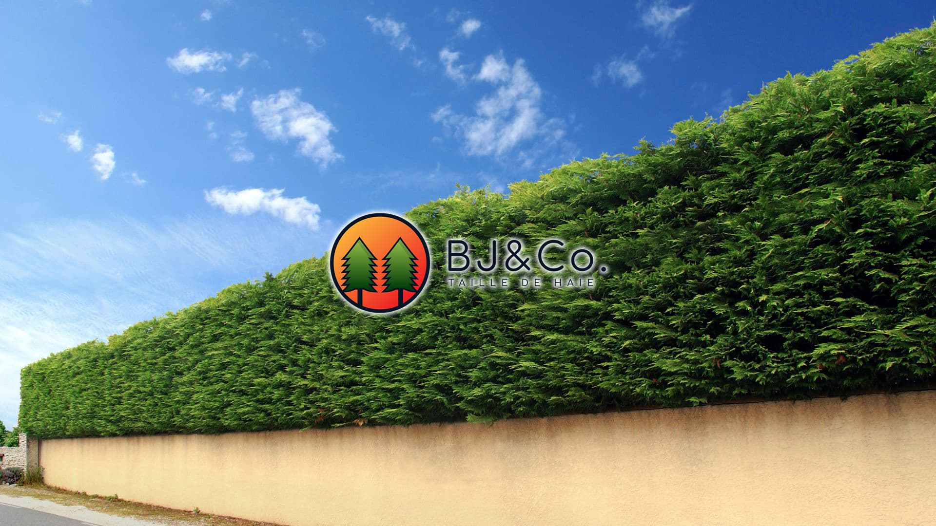 BJ&Co | Service d'entretien d'haies de cèdres à Victoriaville — arboriculteur à Victoriaville