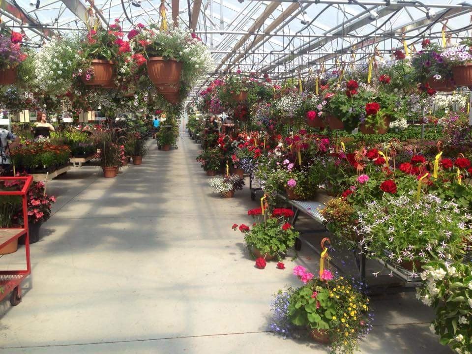 Serres Dauphinais Ste-Julie — Boucherville