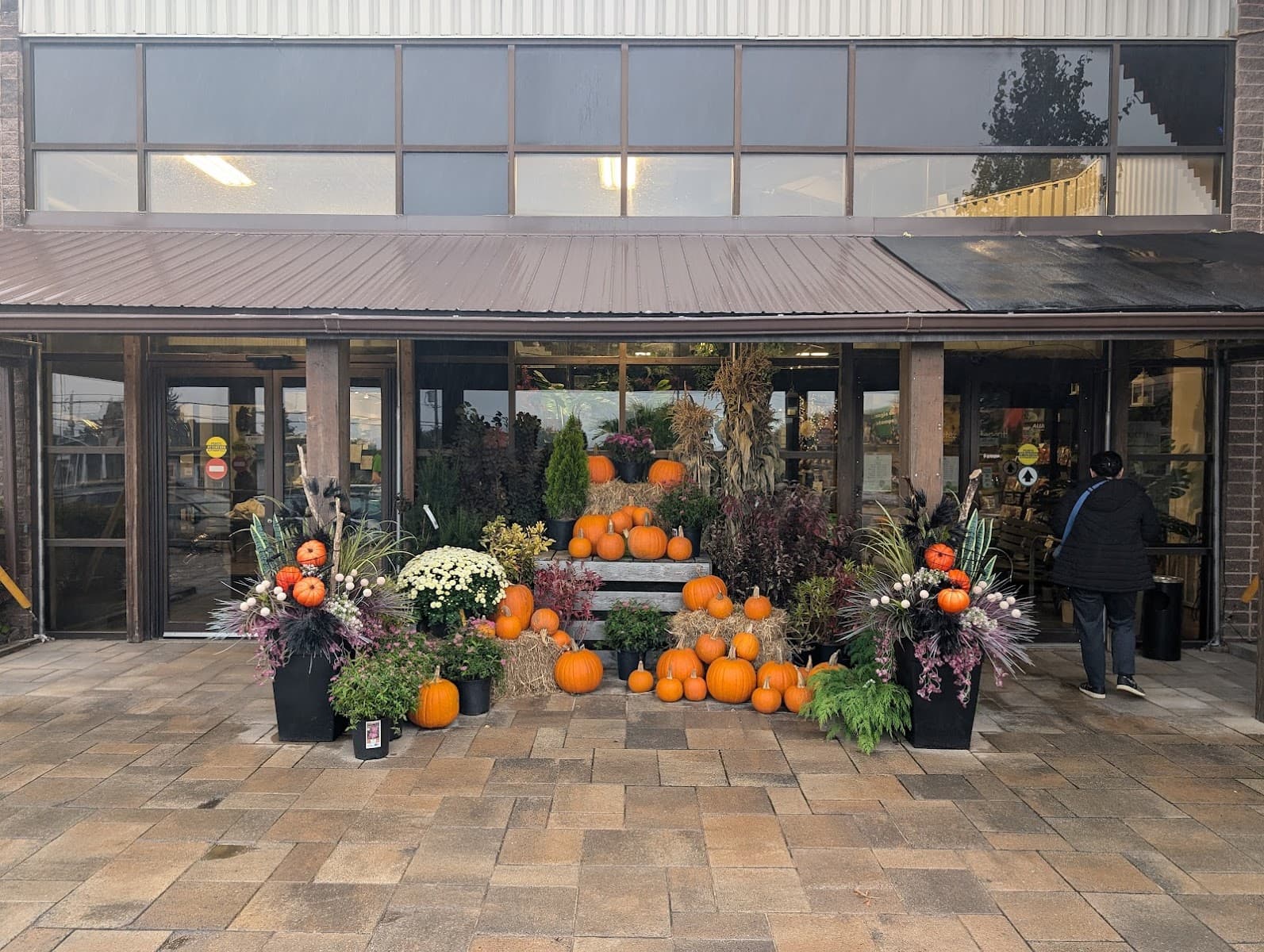 Paradis Jardin & Accessoires — Lévis