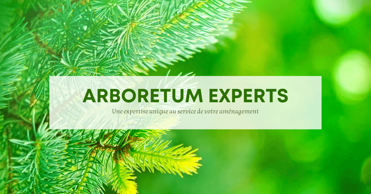 Arboretum Experts | Arboriculture, Horticulture, Entretien Paysager, Décoration Thématique à Québec — Lévis