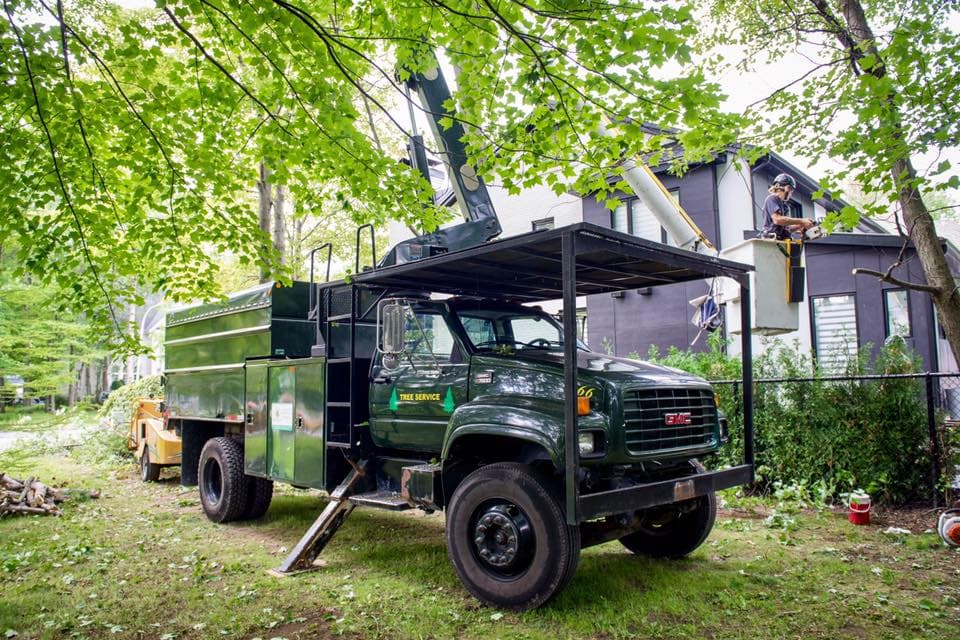 Service d'Arbres Benjamin — Terrebonne