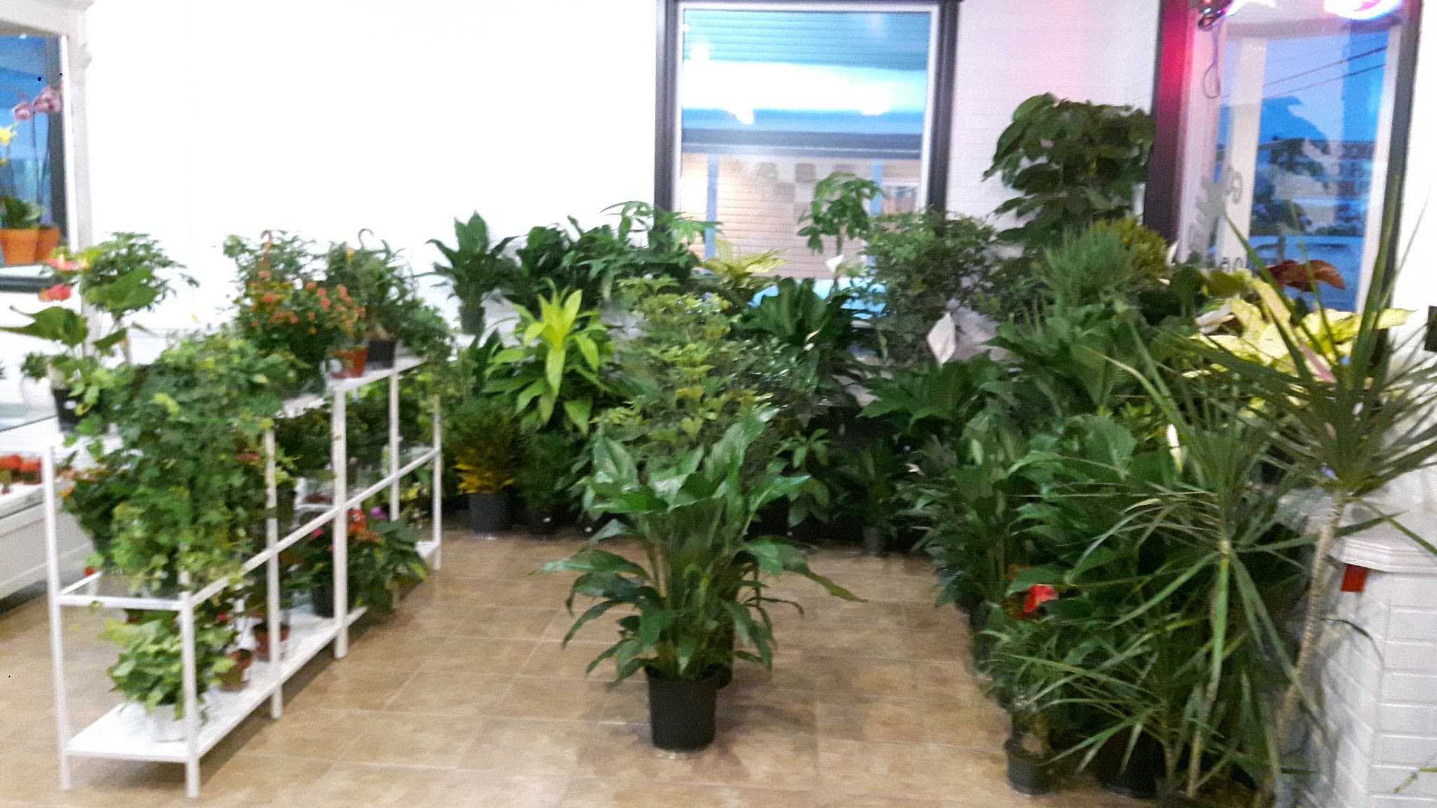Centre de Jardinage Serlivard — aménagement paysager en Abitibi-Témiscamingue