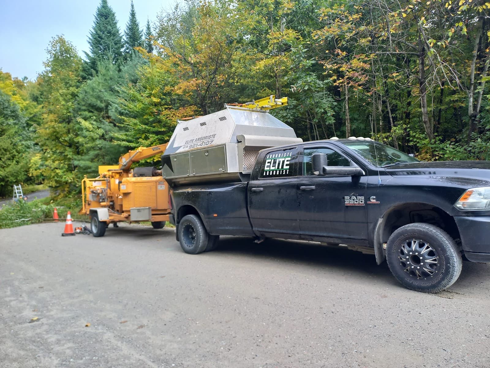 Arboriste Elite — Gatineau