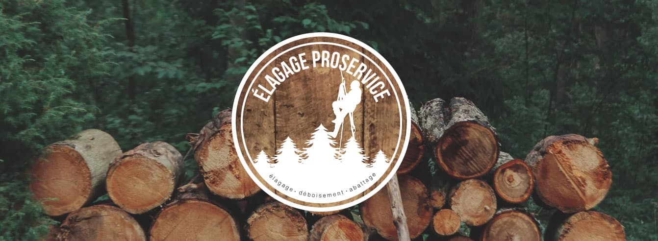 Élagage Proservice - Abattage Proservice — Repentigny