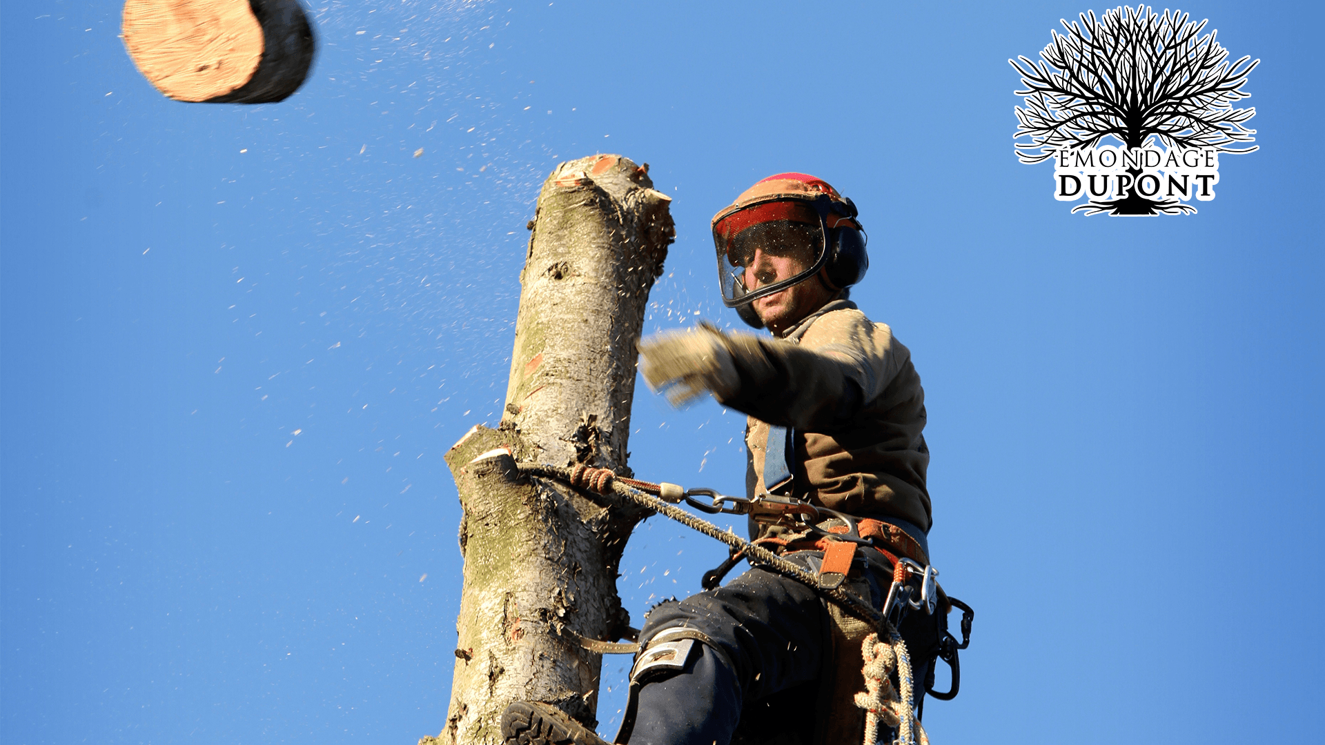 Emondage Dupont — arboriculteur dans la Couronne de Québec