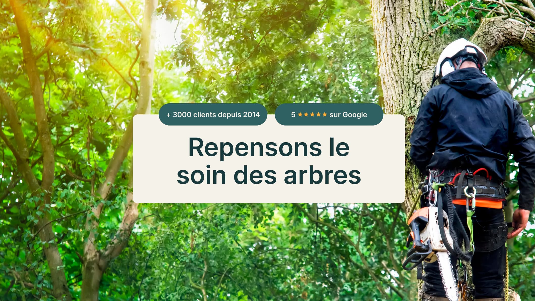 L'Ambassadeur de l'arbre - Élagage et soins des arbres Aylmer — Gatineau