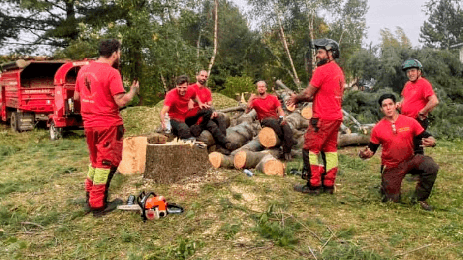 Abattage et Émondage Jonathan Desjardins Inc. — arboriculteur à Saint-Jérôme