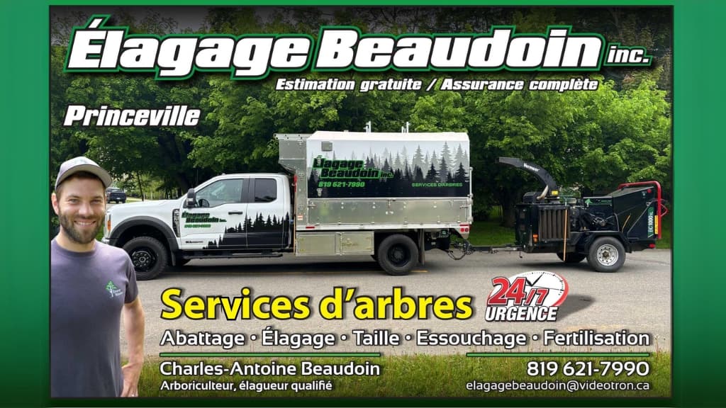 Élagage Beaudoin | Élagage et Entretiens d'Arbres | Déneigement à Princeville — Victoriaville