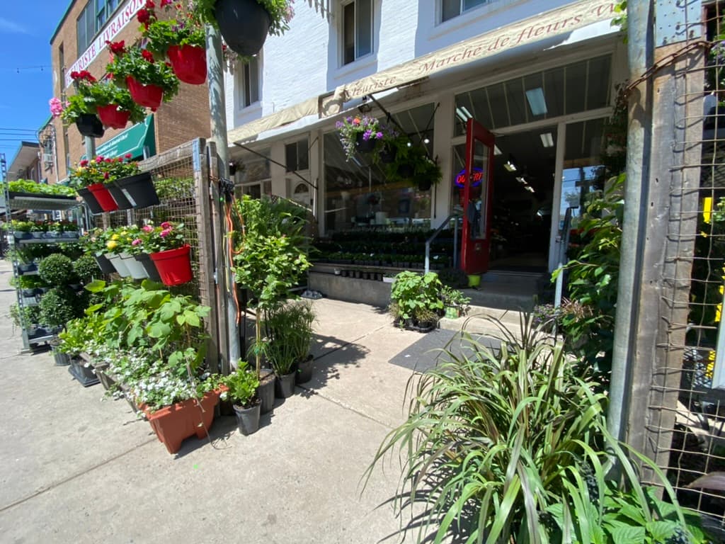 Marche De Fleurs Westminster Inc. — Châteauguay