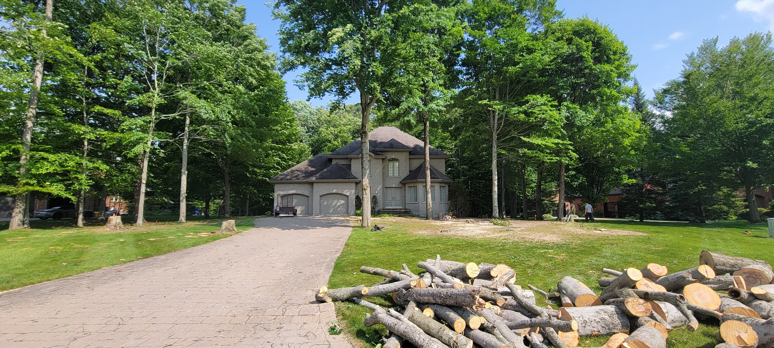 Scie & Ça – Abattage et Élagage d’arbres Chomedey — Laval