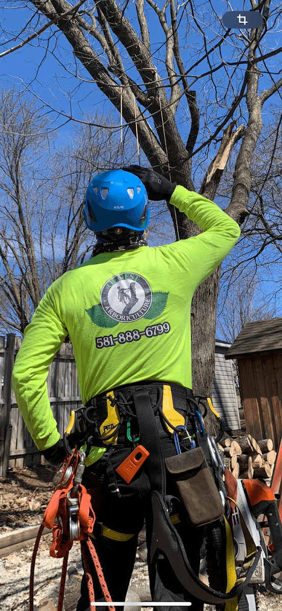 Genest Arboriculture — Lévis