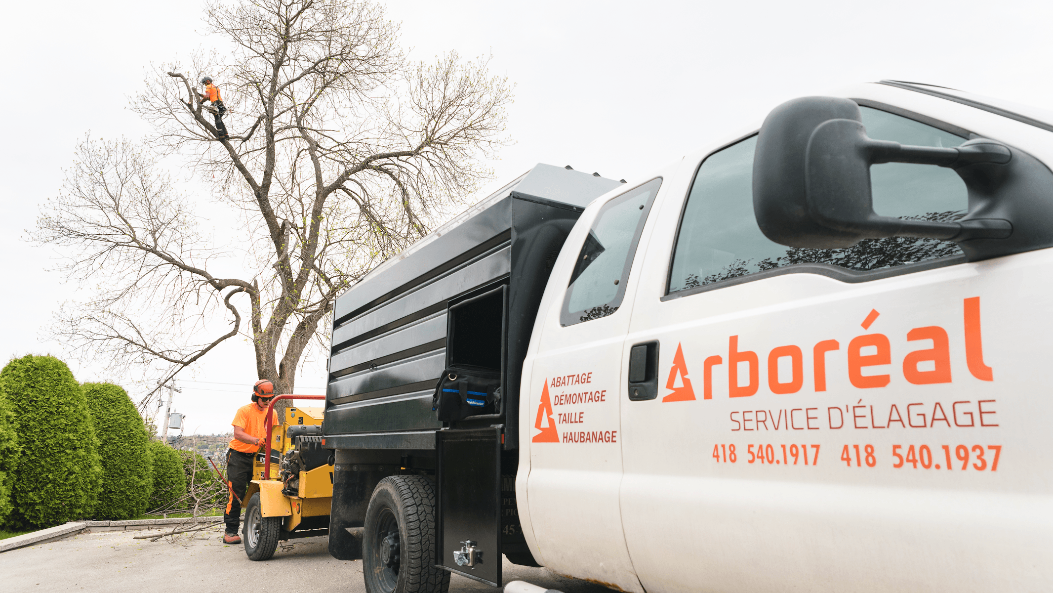Arboréal service d'élagage — Saguenay
