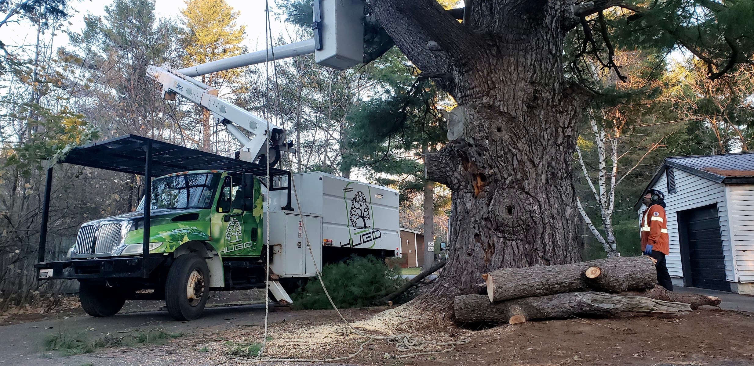 Services D'Arbres Hugo Inc — Mascouche