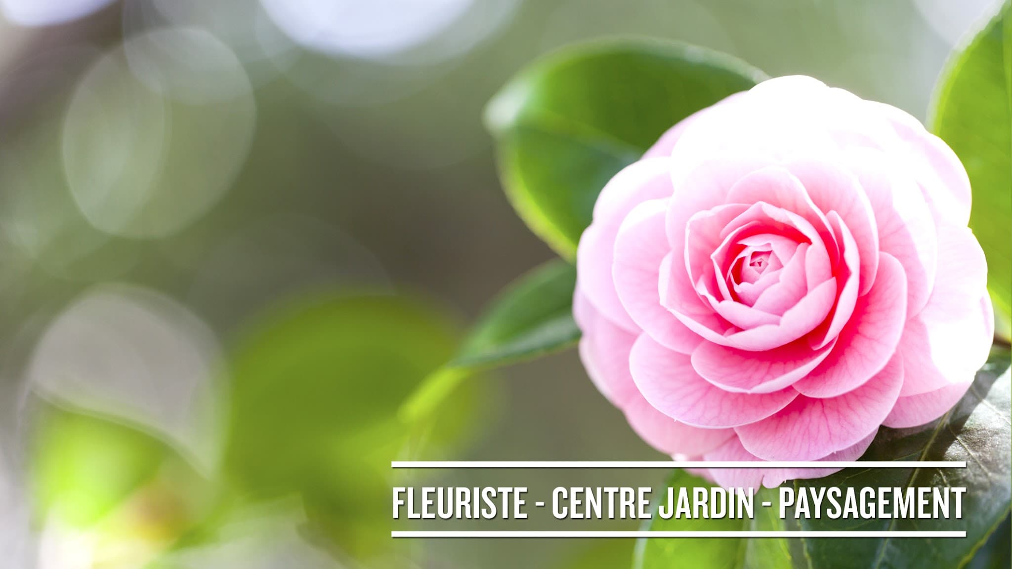 Fleuriste et Centre de jardin Terre Nature Inc — Drummondville