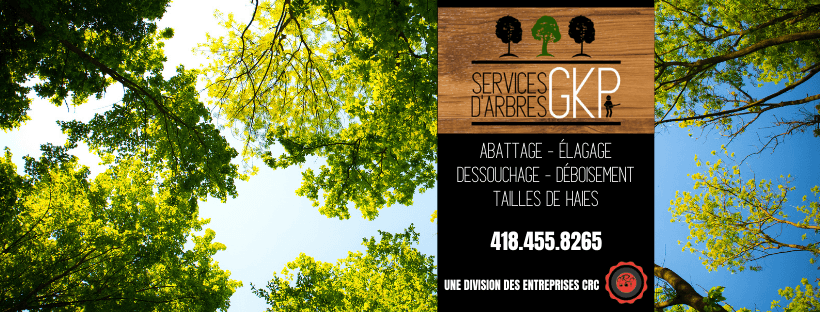 Services d'arbres GKP - Émondage, Élagage, Abattage — Couronne de Québec