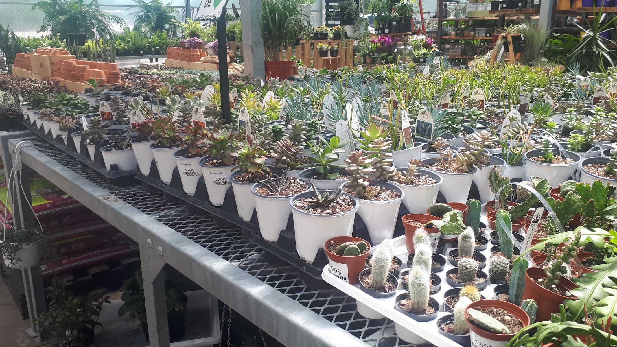 Botanix Jardin Lauzon | Centre de jardinage à Gatineau — Gatineau