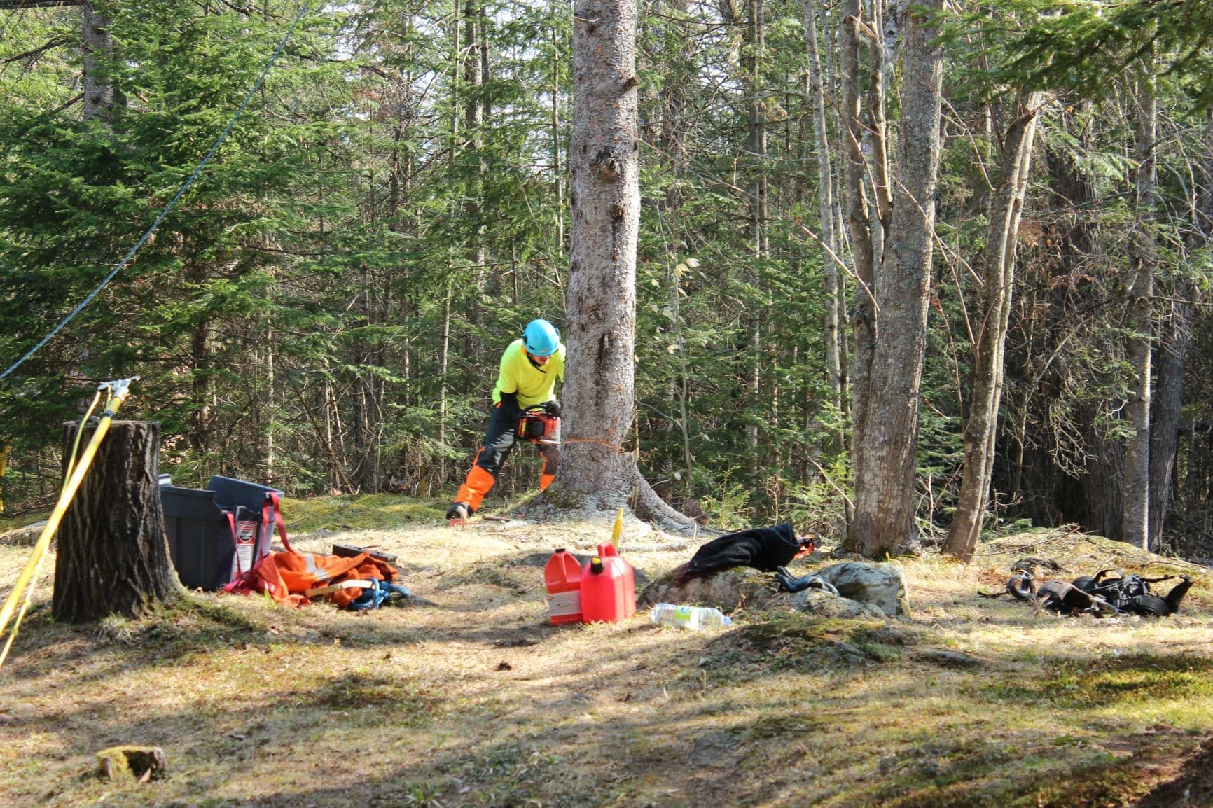 Arboclinique Inc. - Émondage — arboriculteur dans Lanaudière