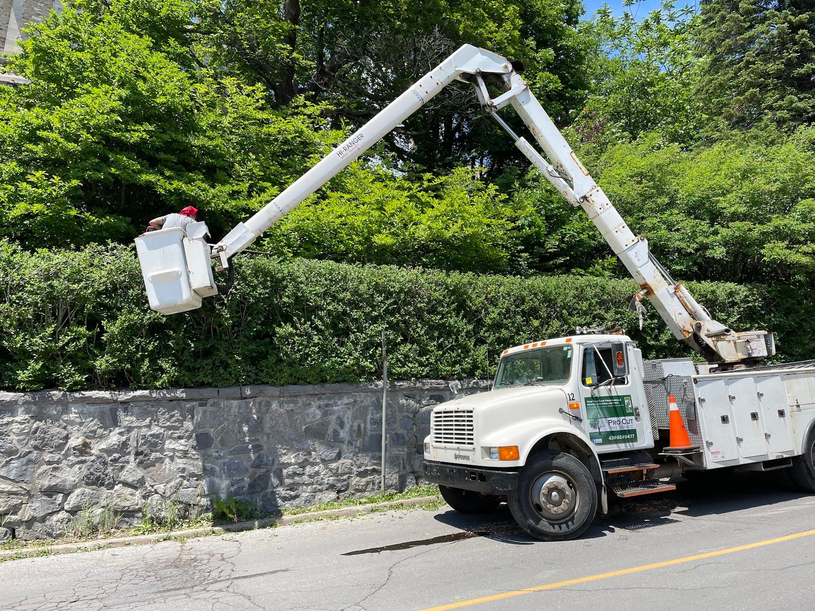 Pro Cut tree service — Châteauguay