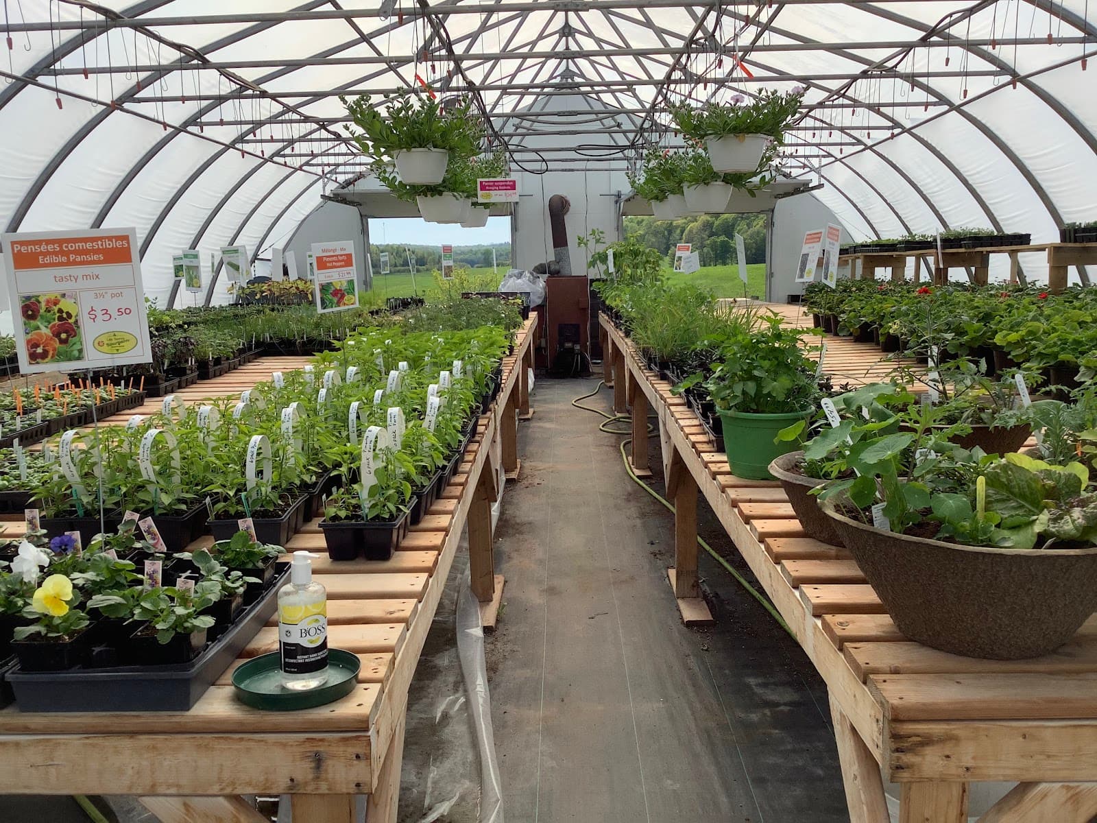 Les Serres Bourgeon Greenhouses — Outaouais