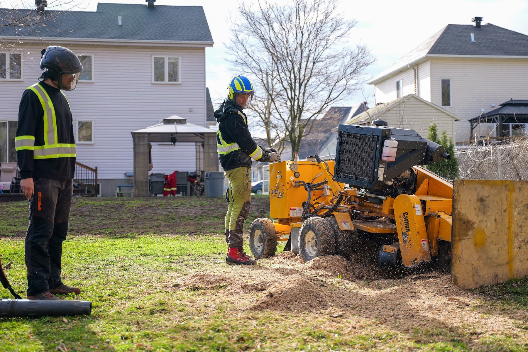 Arbo MTL — arboriculteur à Montréal