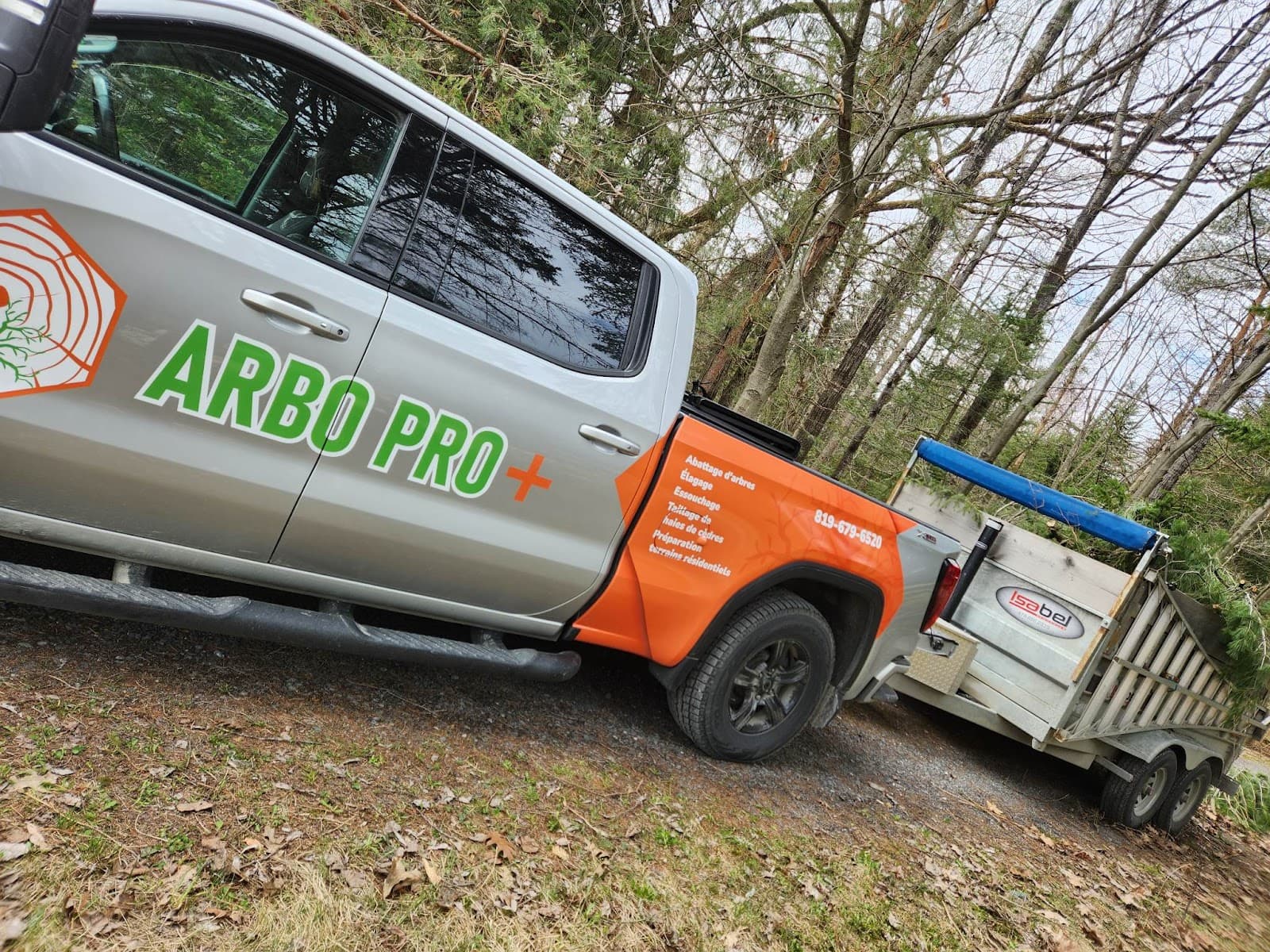 Arbo Pro + - Taille de haie, Déboisement, Abattage, Élagage Rock-Forest — Sherbrooke