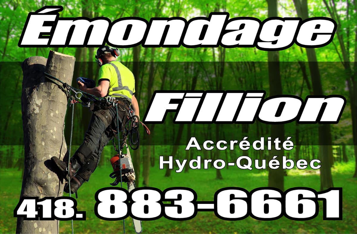 Émondage Fillion — Lévis