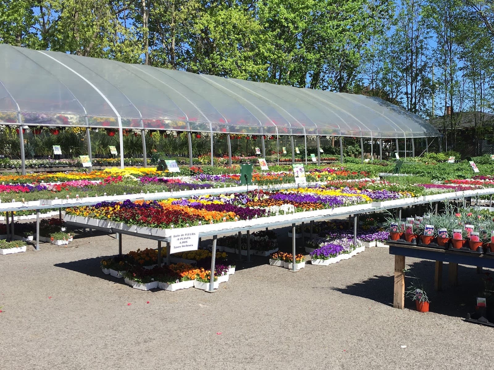 Les Serres Lahaie — Saint-Jean-sur-Richelieu