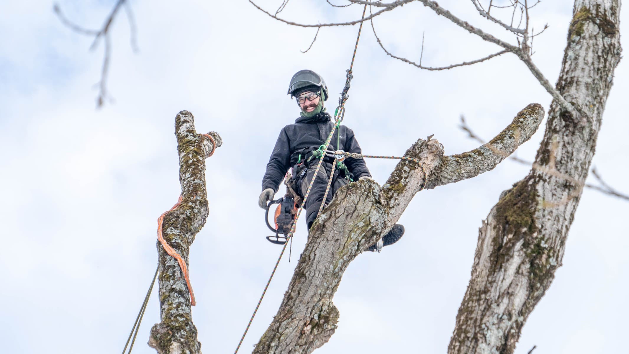 Verti-Go Arboriculture — Sherbrooke