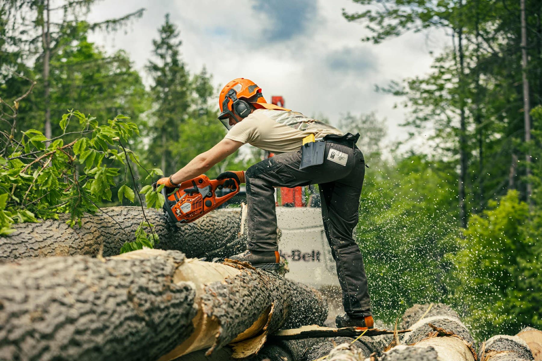 Arboriculture Lavallée — Shawinigan