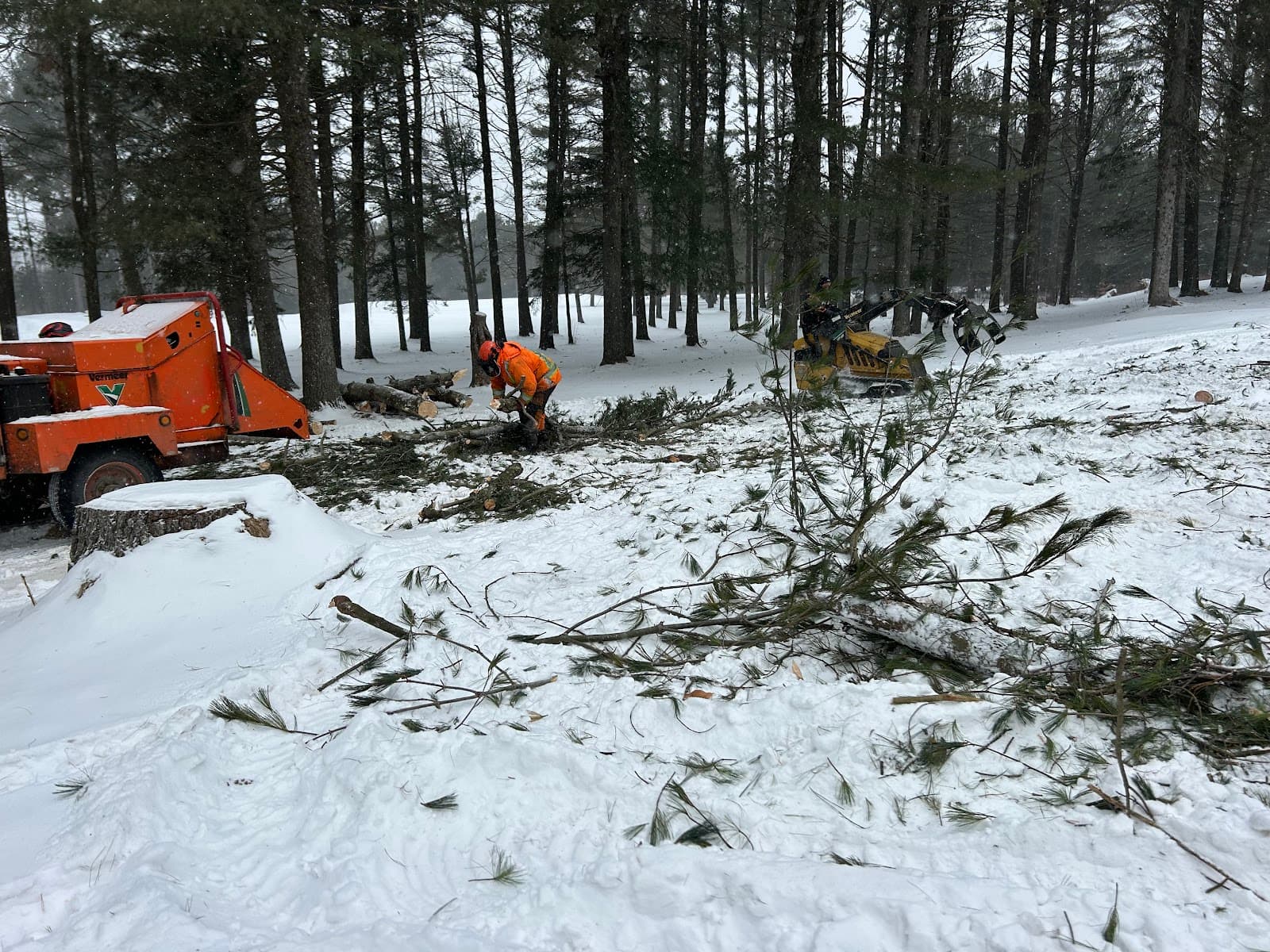 Emondage Mauricie — arboriculteur à Trois-Rivières