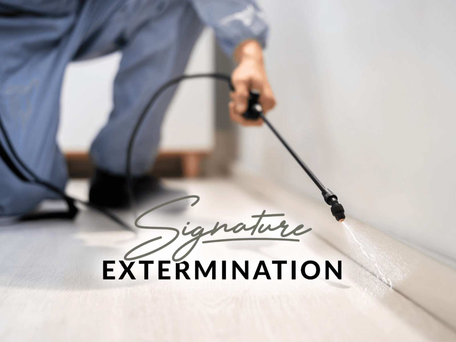 Signature Extermination | Service d'extermination des nuisibles à Sainte-Thérèse — Couronne Nord (Montréal)