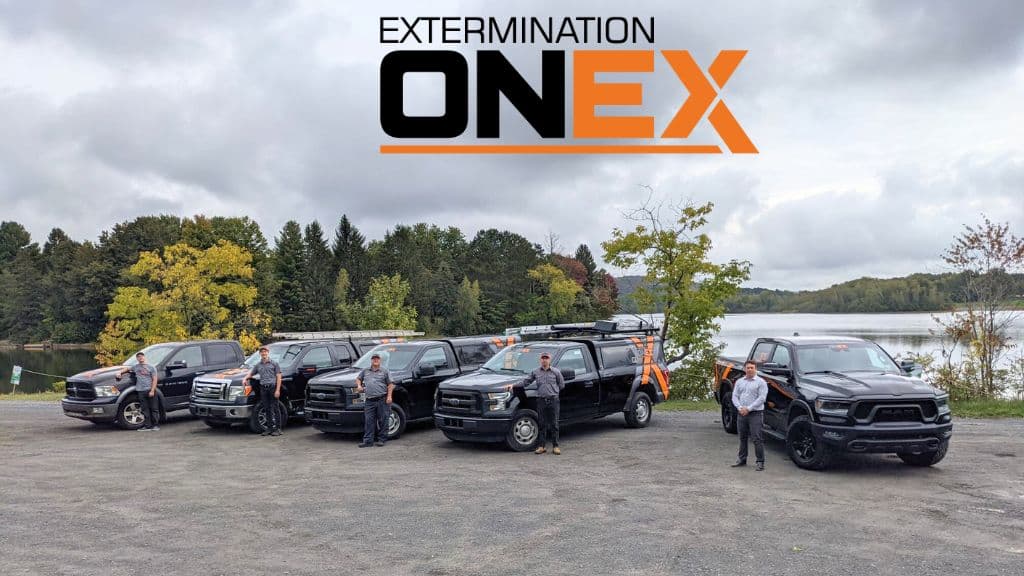 Extermination ONEX Granby — exterminateur à Granby