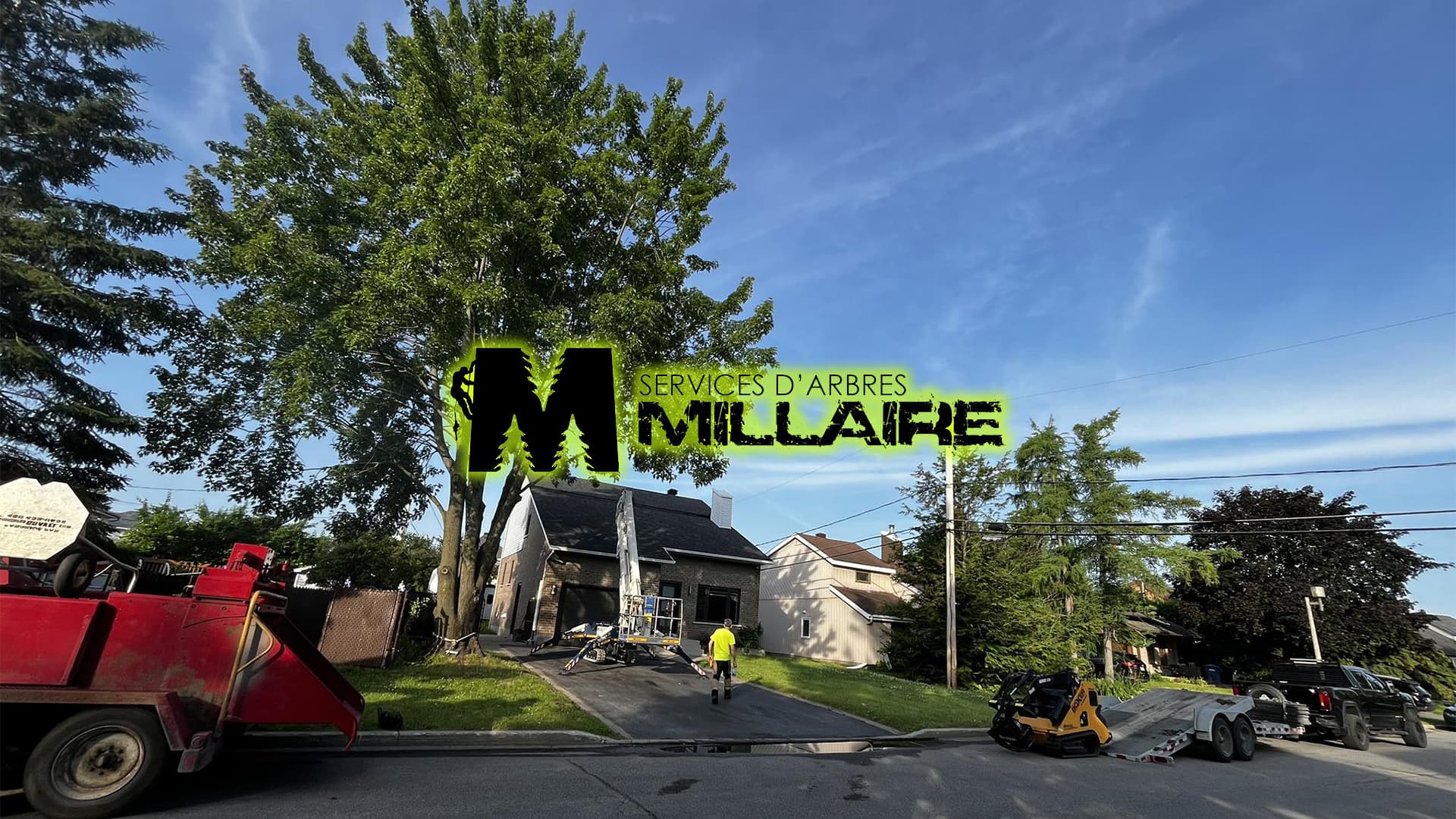 Services d'Arbres Millaire | Service d'entretien d'arbres à Saint-Lazare — Vaudreuil-Soulanges