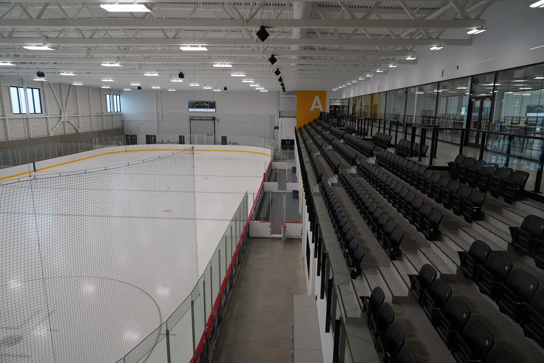 Complexe sportif Desjardins — piscine à Rimouski