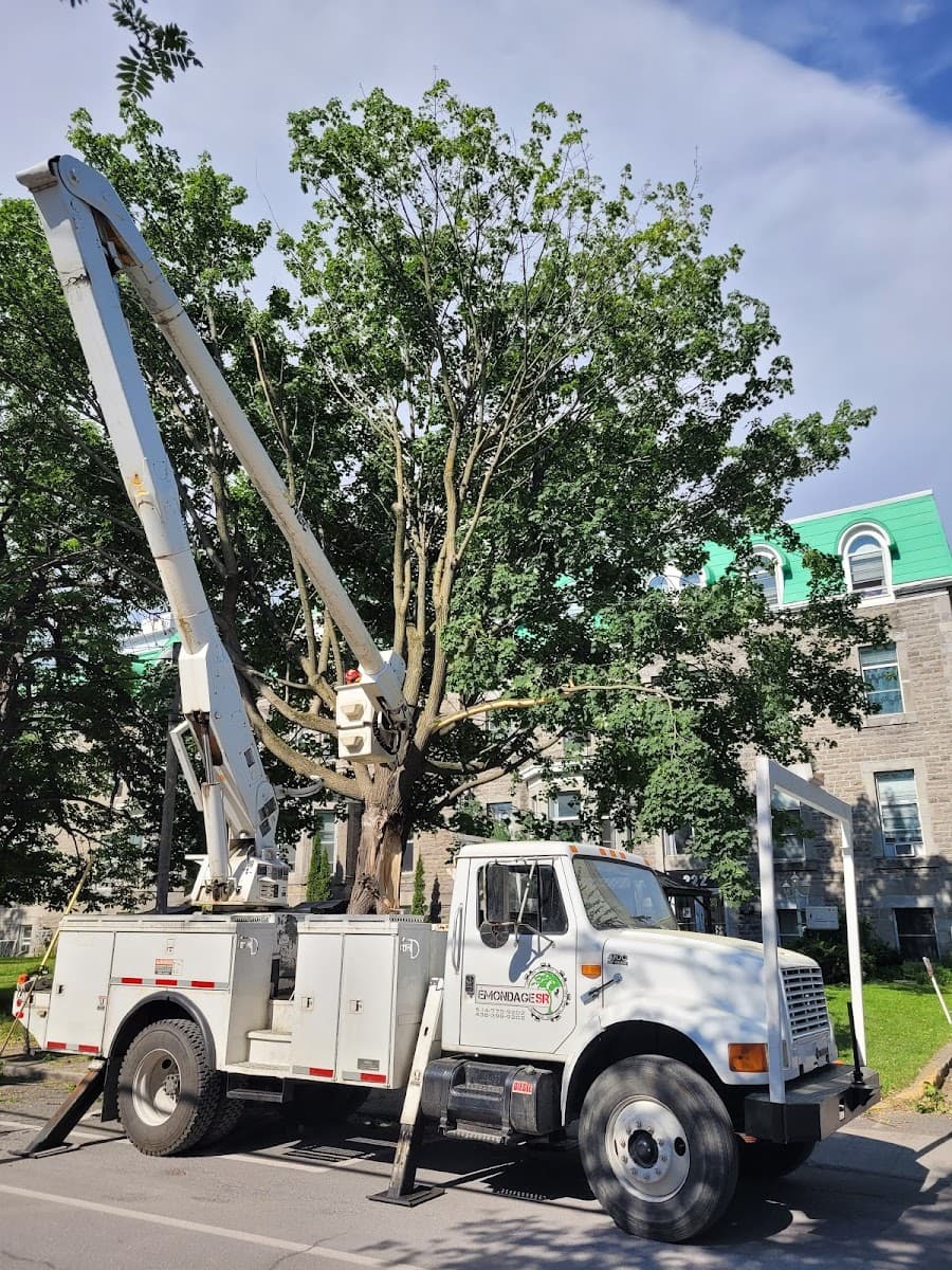 Émondage SR Inc — Saint-Jean-sur-Richelieu