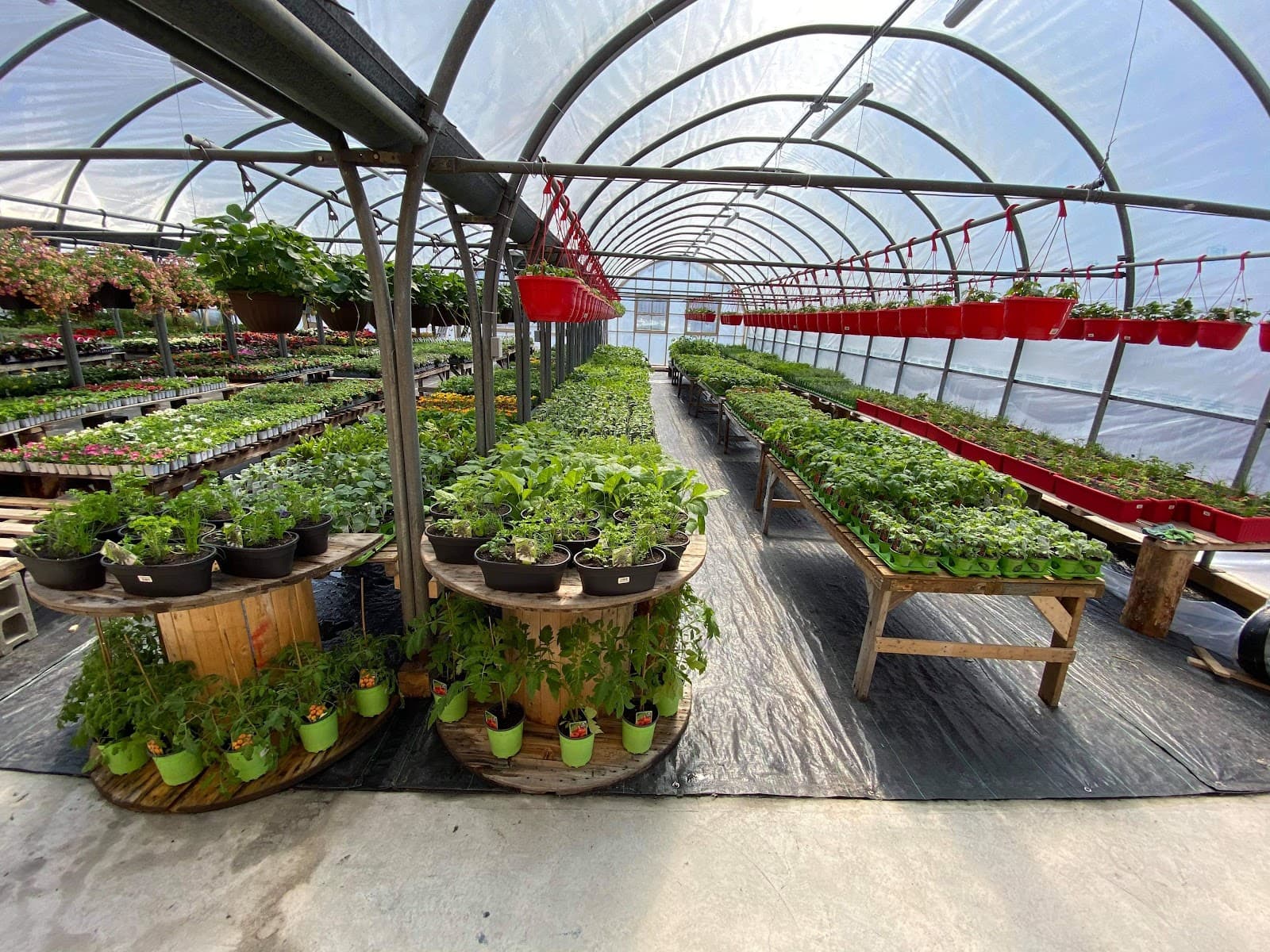 Lessard Centre Jardin — aménagement paysager en Estrie