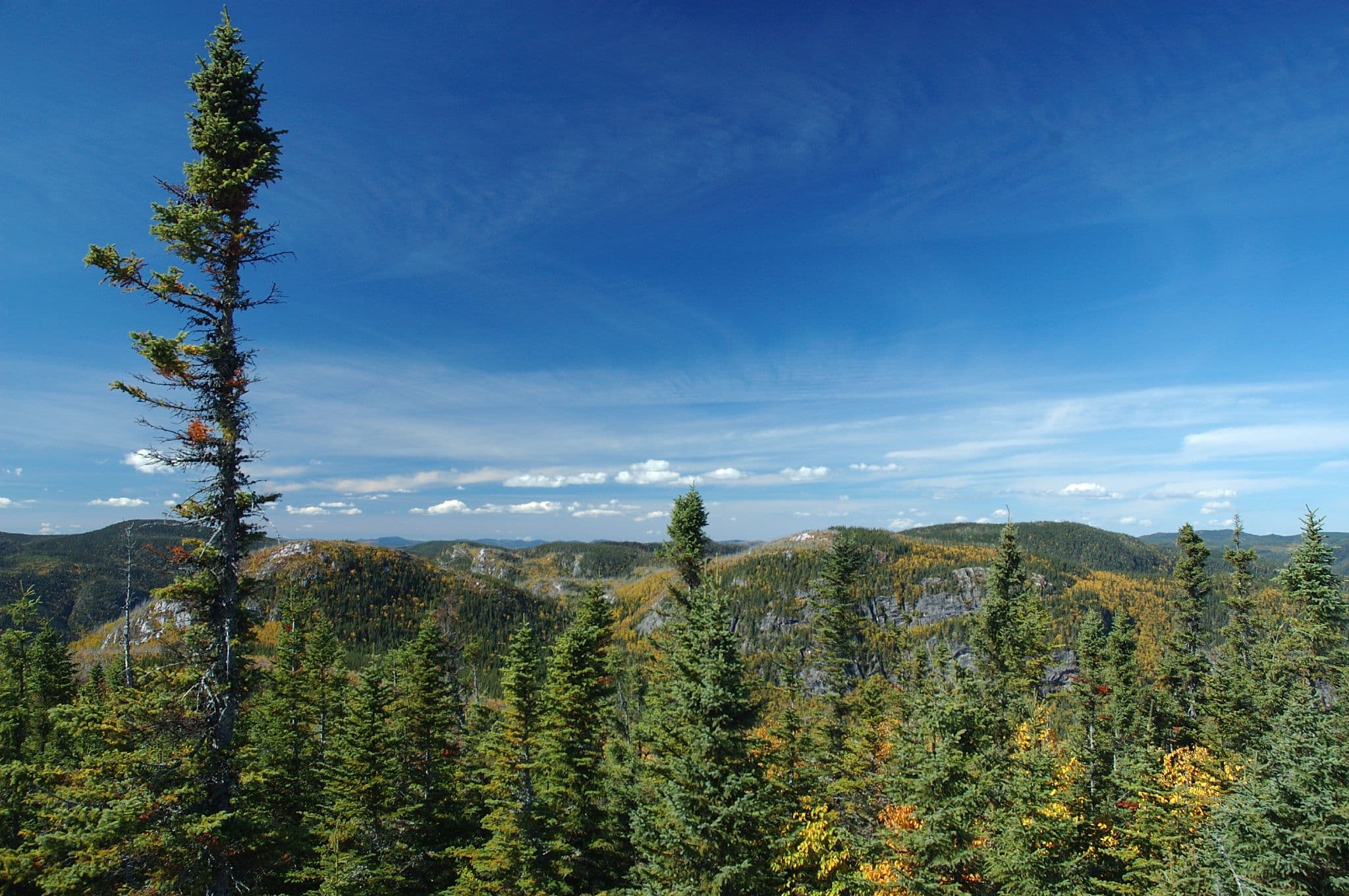 Marché immobilier Lac-Pikauba