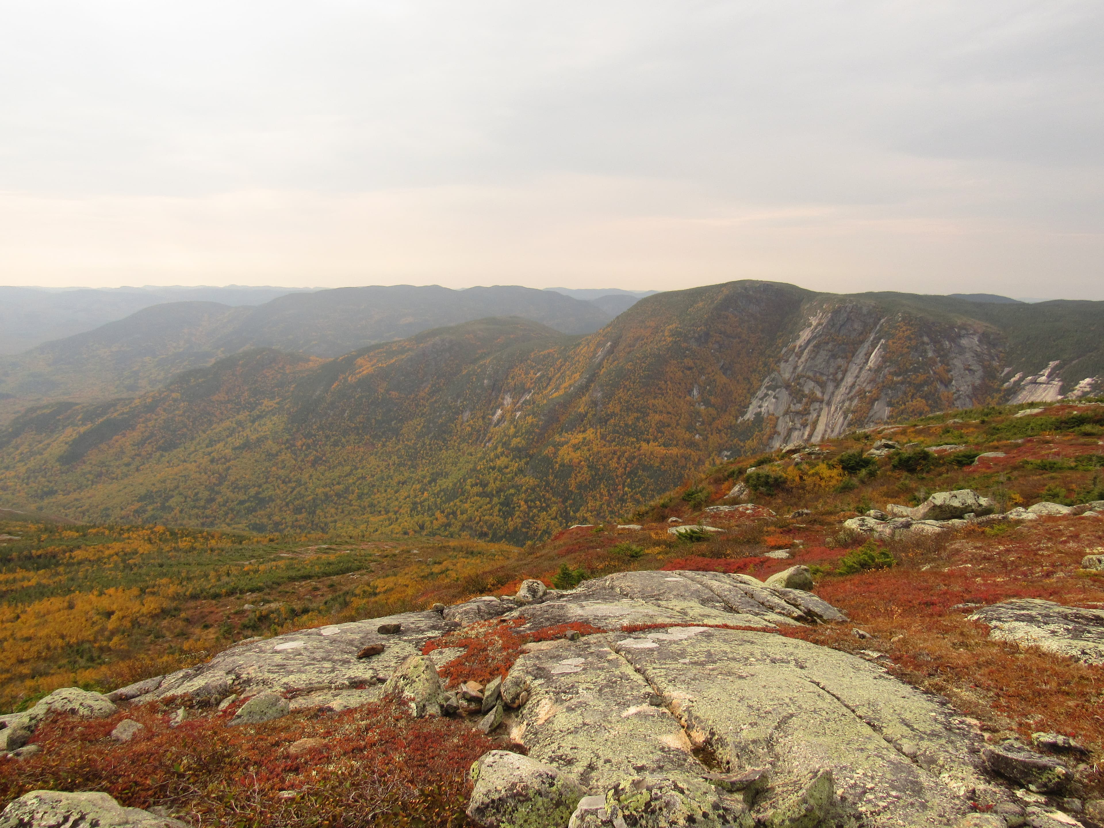 Marché immobilier Mont-Élie