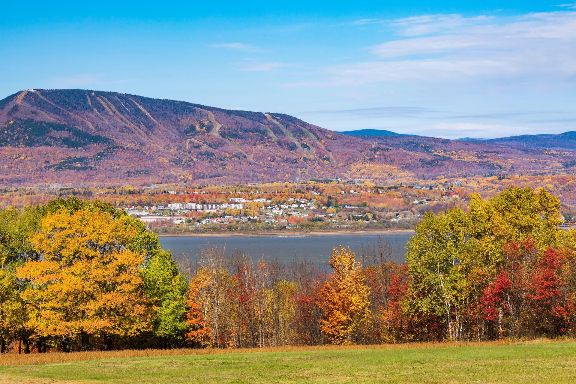 Marché immobilier à Saint-Ferréol-les-Neiges