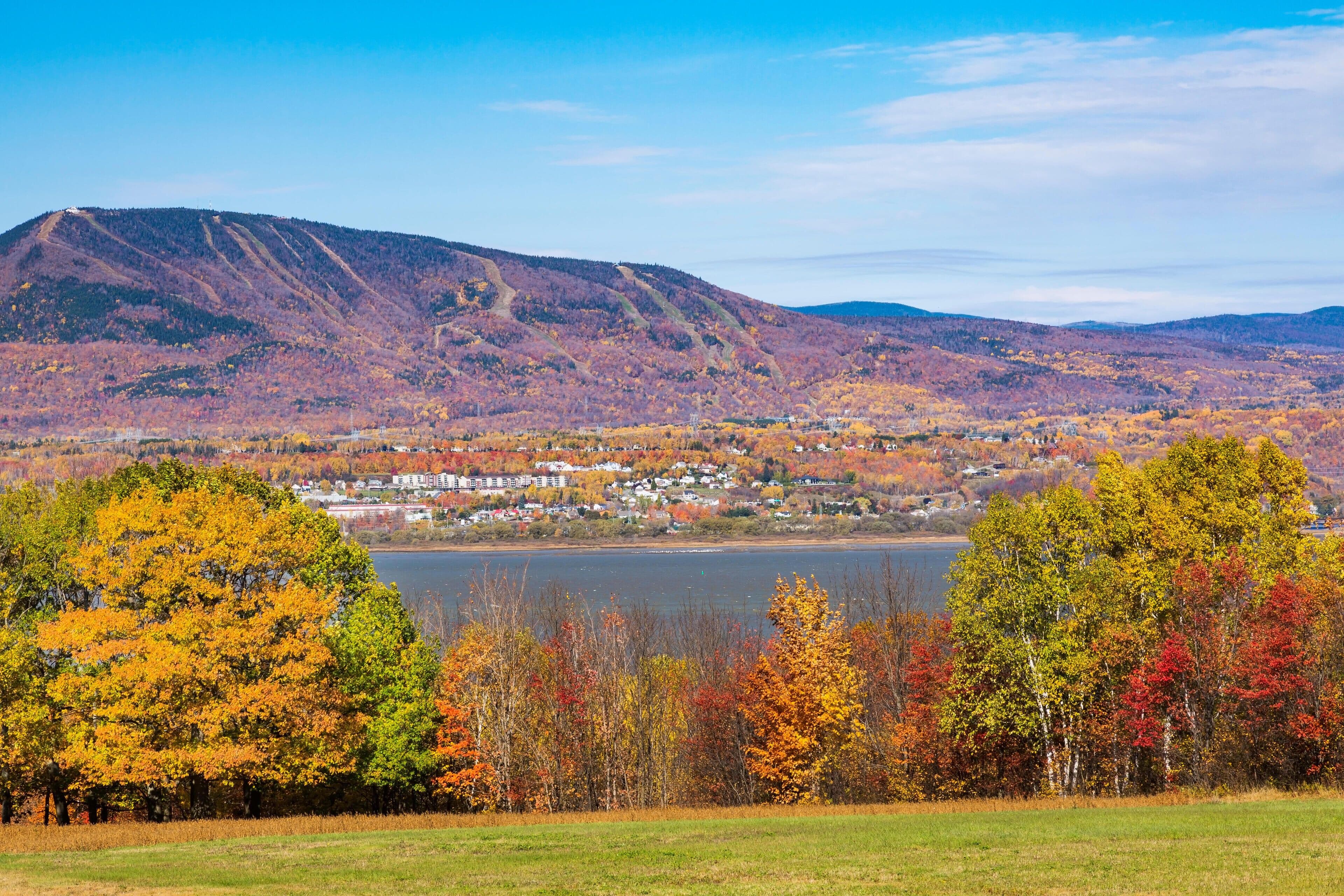 Marché immobilier Saint-Ferréol-les-Neiges