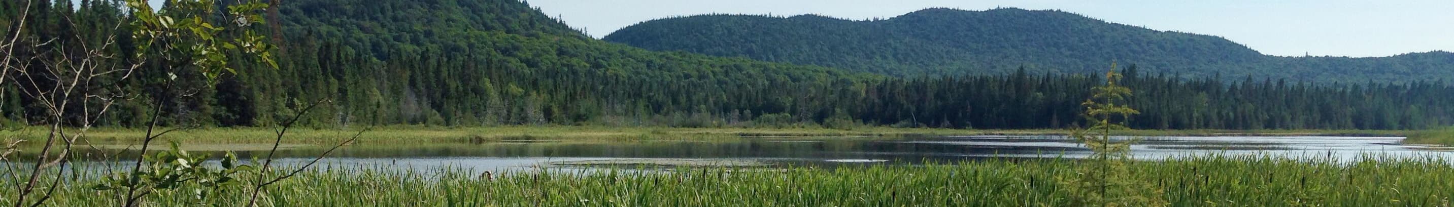 Marché immobilier Sault-au-Cochon